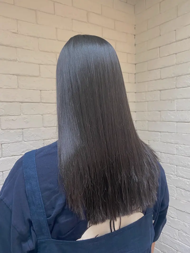윤기 있게 관리된 흑발 스트레이트 모발 사진